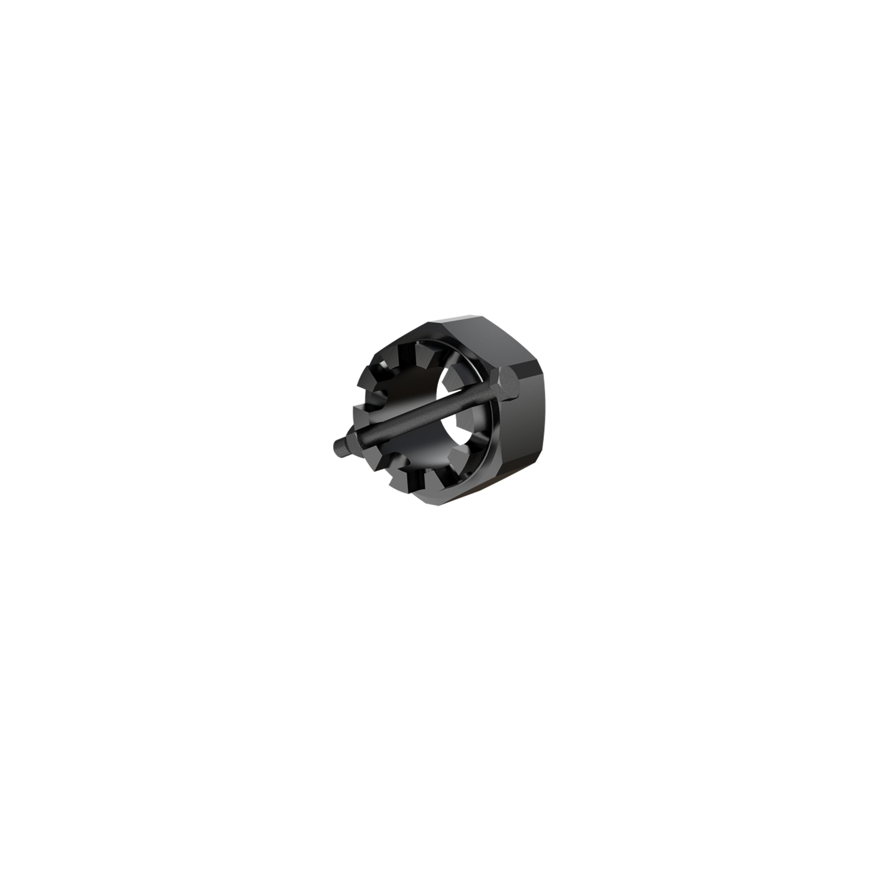 VBG castellated nut with locking kit_18-000300.png