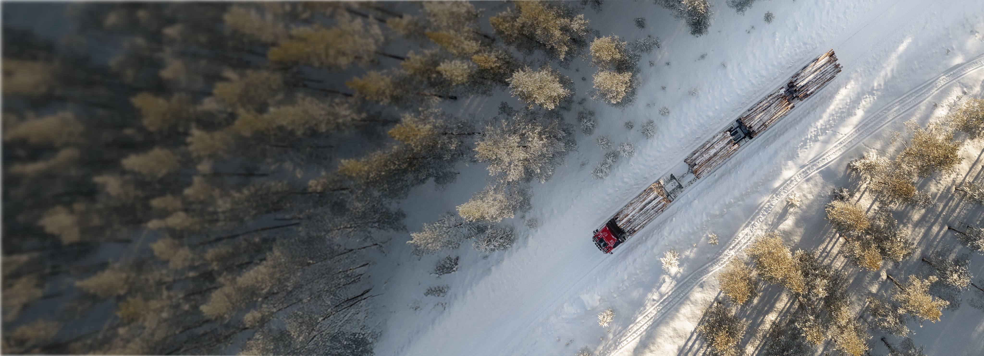 hct transport truck in forest